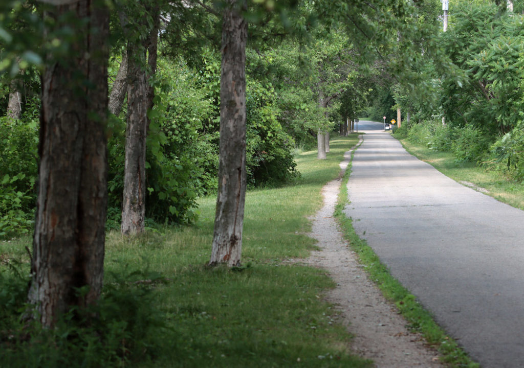 Newberry Trial surrounded by greenery