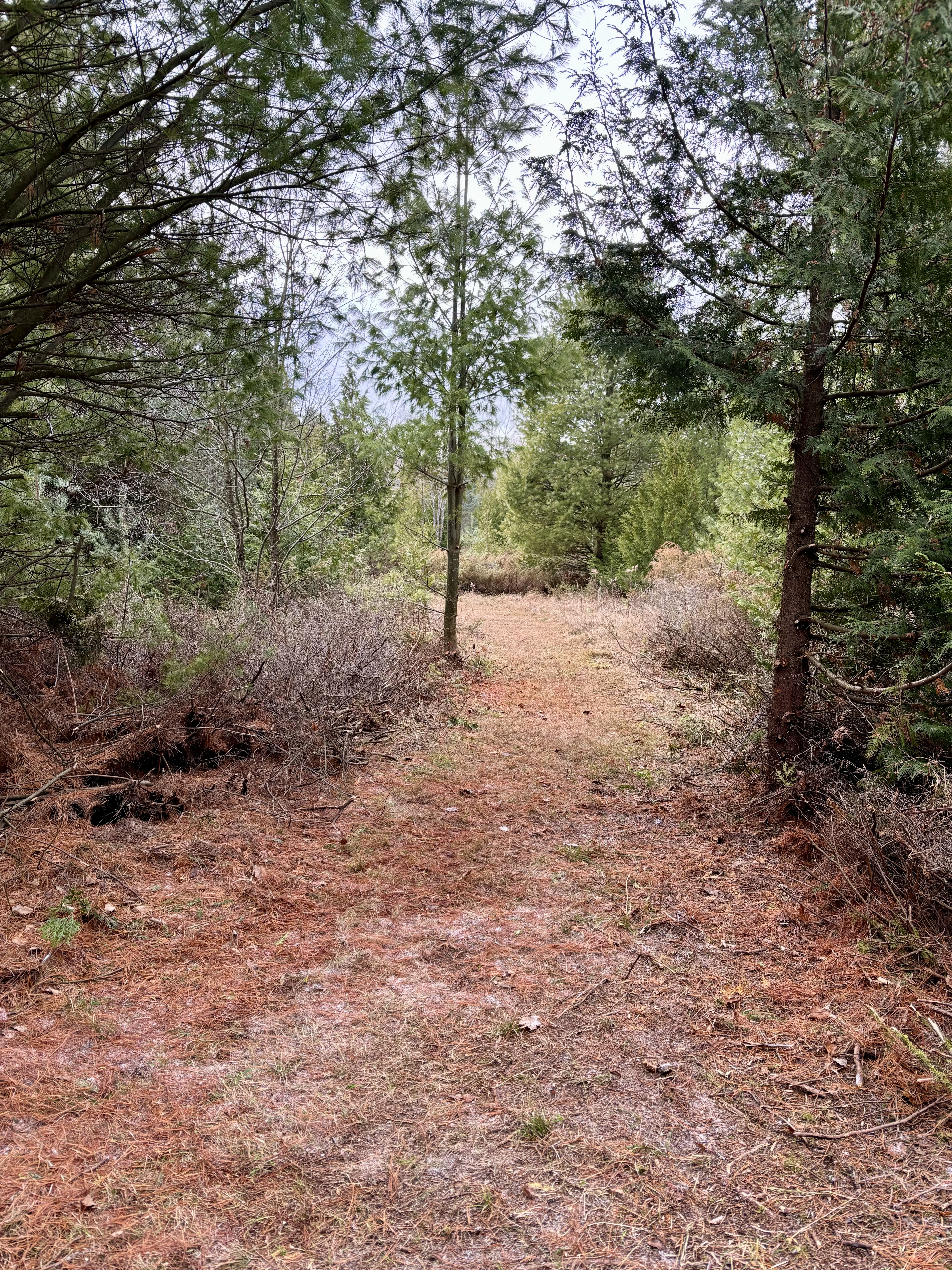 Quarry Trail