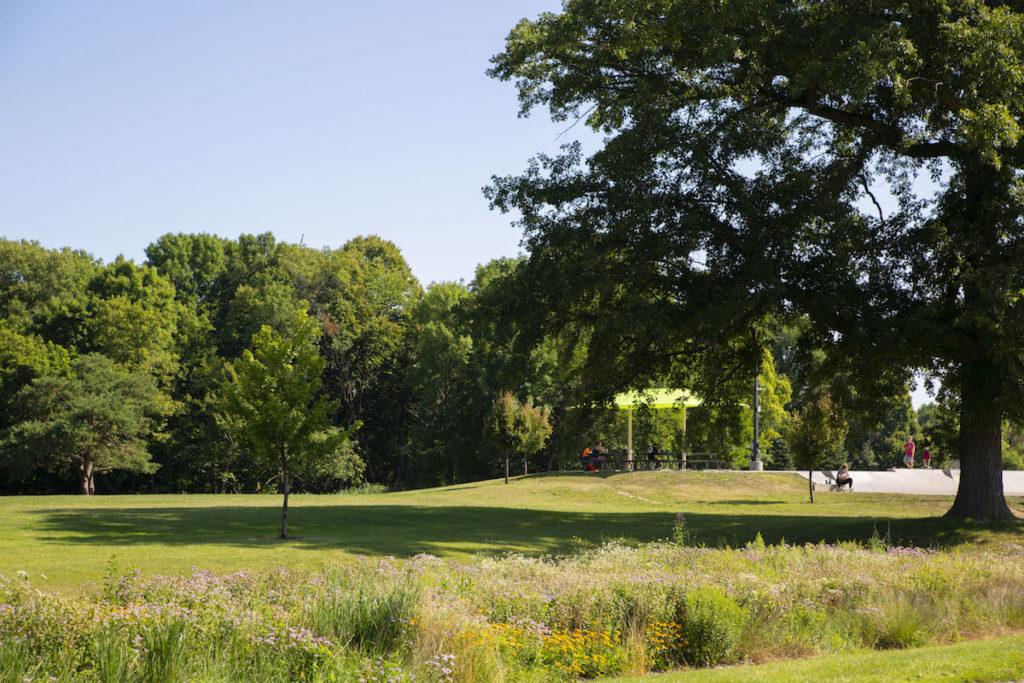 Telulah Park on a sunny day; people seen in the distance