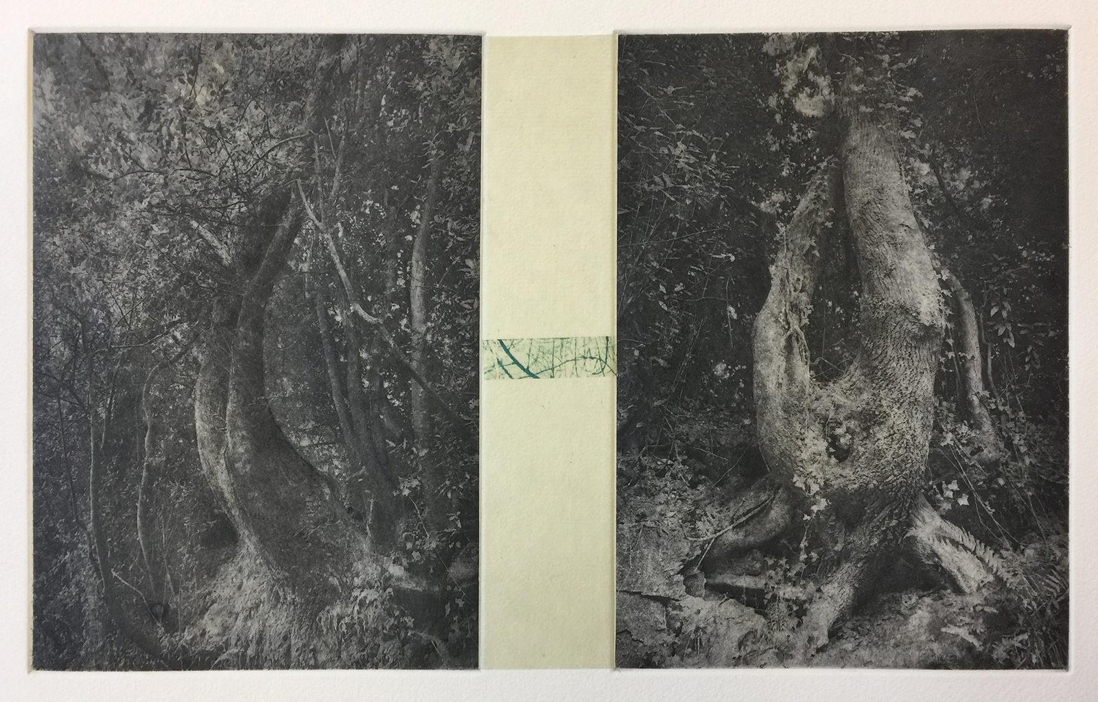 Mary Hood's 2019 artwork "Soft Whispers"