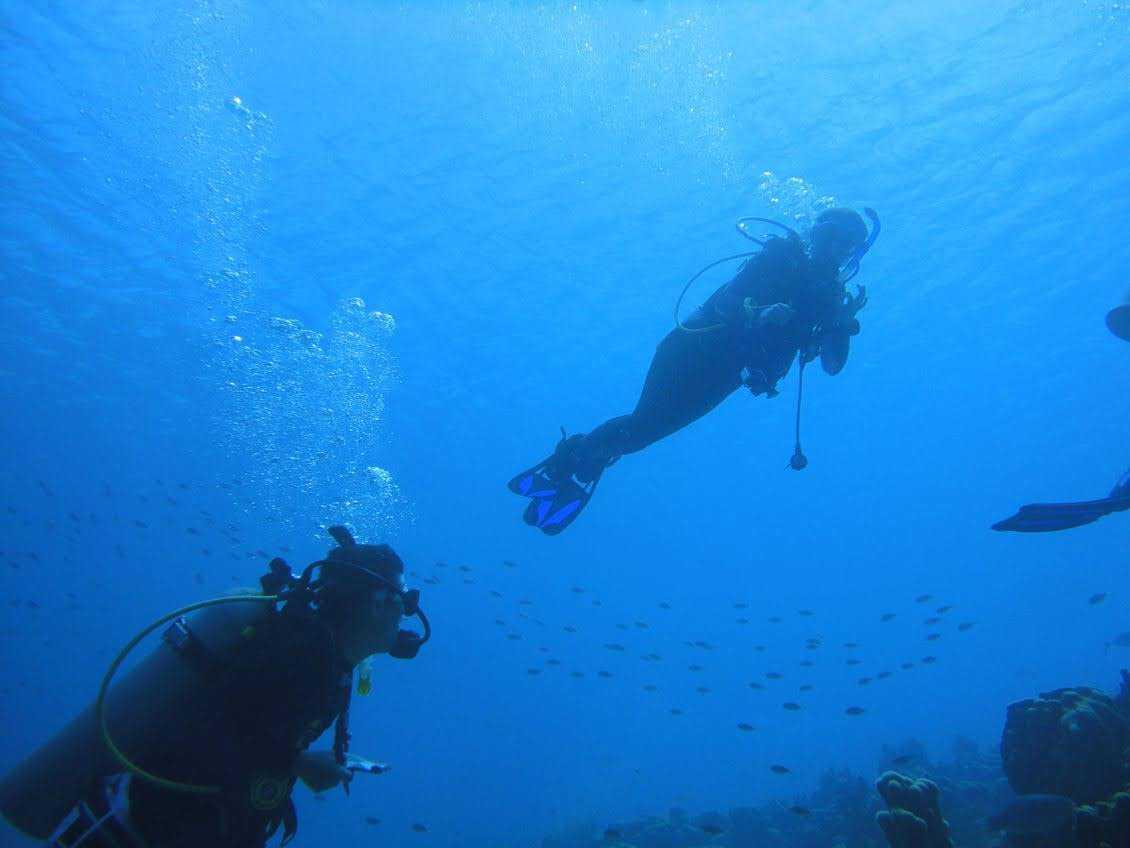 Lawrence students scuba dive in the waters of Bonaire as part of their research into marine life.