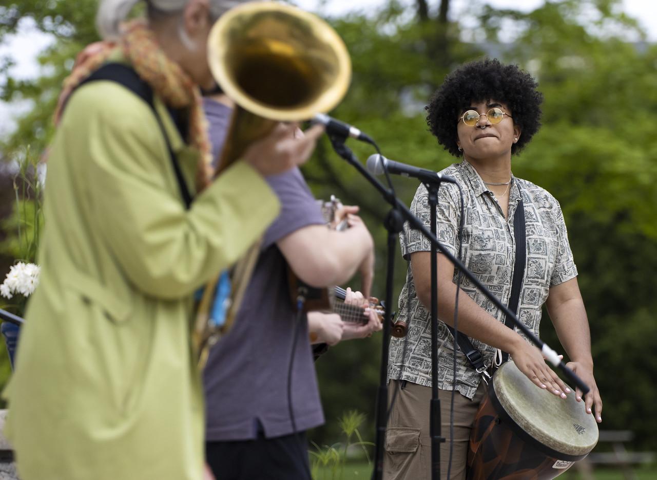 Loren Dempster and Friends playing instruments at cultural festival