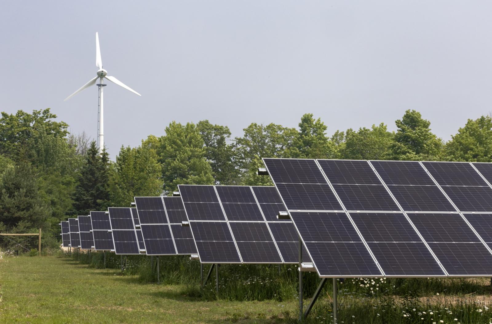 The solar array at Bjorklunden went live in the spring. (Photo by Danny Damiani)