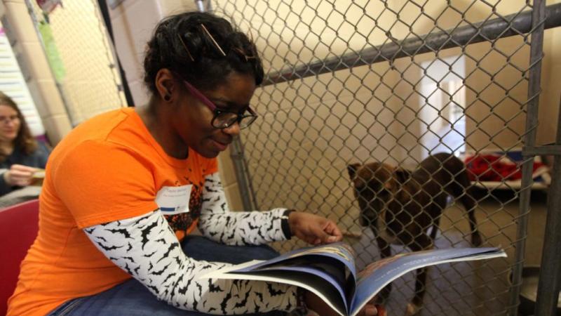 Taylor Blackson ’20 volunteers to support animal welfare
