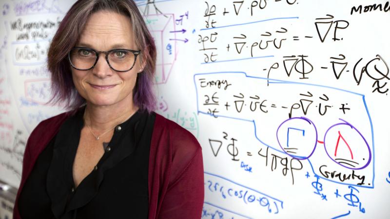 Megan Pickett, associate professor of physics