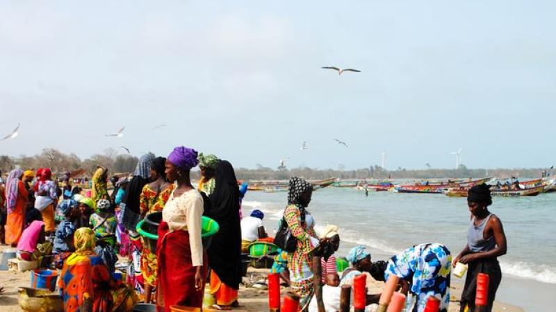 Beach scene. Many people on beach.